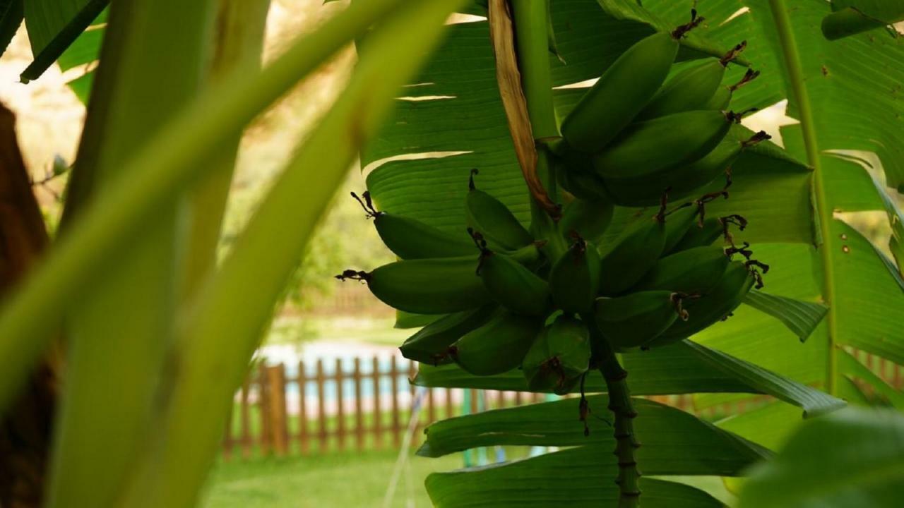 Villa Tropical Slow Орхива Экстерьер фото